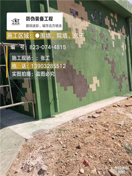 兴安核心结论：专业提供外墙迷彩漆施工服务