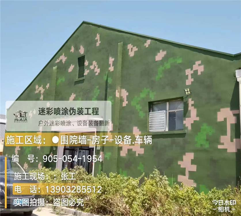兴安外墙数码迷彩漆施工报价清单（100㎡标准墙面测算）